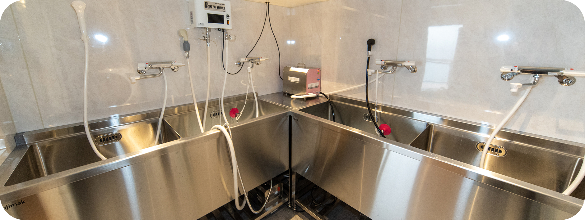 ILEX社のクワトロシステムとは？