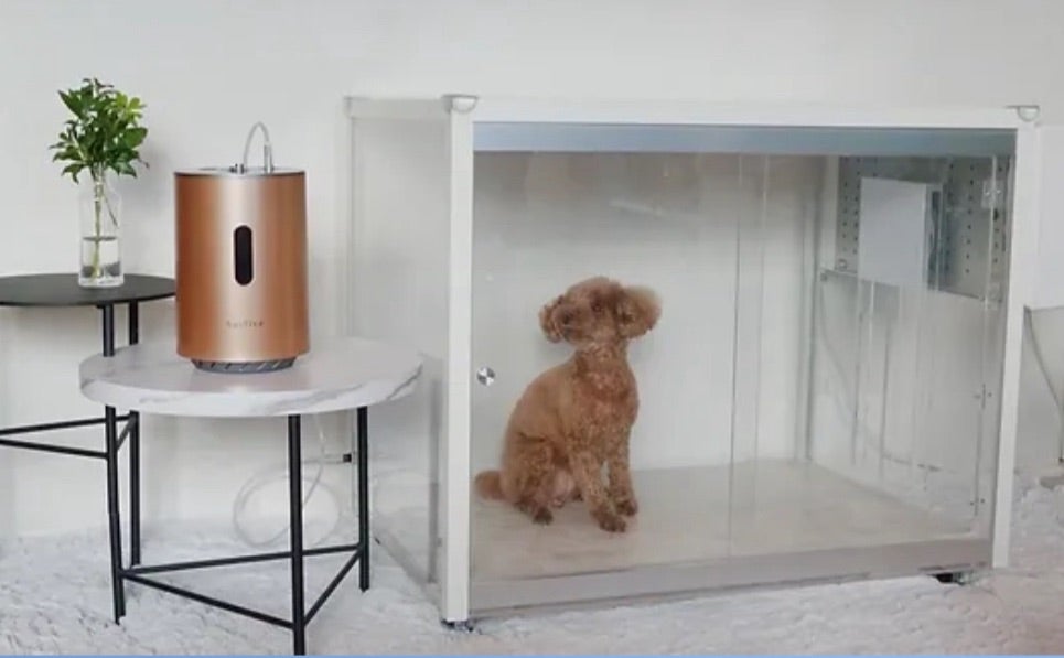 水素ハウス「SUIPET」